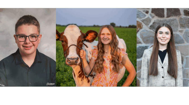 Holstein Interview Contest